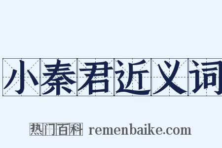 小秦君近义词是什么意思的图片